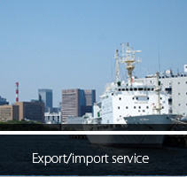 Export/import service